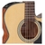 Guitarra Electroacustica Takamine Gn10ce + Funda en internet