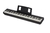 Kit Completo Piano Electrico 88 Teclas Pesadas Roland Fp10 en internet