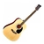Guitarra Acustica Jay Turser Jj45 + Funda - tienda online