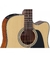 Guitarra Electroacustica Dreadnought Takamine Gd15ce - tienda online