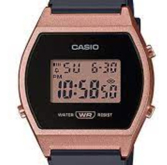 Reloj Casio Vintage Unisex Lw-204-1adf Agente Oficial