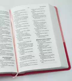 Santa Biblia NVI Letra Grande, Tamaño Manual – Cuero Ecologico Duo Tono Rosa en internet