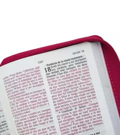 Santa Biblia NVI Letra Grande, Tamaño Bolsillo Con Cierre – Cuero Ecologico Fucsia - comprar online