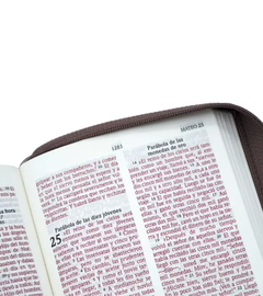 SANTA BIBLIA NVI LETRA GRANDE, TAMAÑO COMPACTO CON CIERRE – MARRON en internet