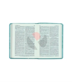 SANTA BIBLIA RVR 1960, EDICION COMPACTA (TAPA PIEL AGUAMARINA) – GRUPO NELSON en internet