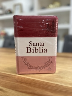 Biblia Reina Valera 1960 Letra Grande Cierre Indice Concordancia Tapa Pu Tritono Rosa