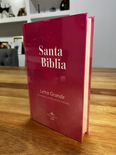 Biblia Reina Valera 1960 Letra Grande Concordancia Tapa Dura Rosa Palabras Jesús en Cursiva - comprar online