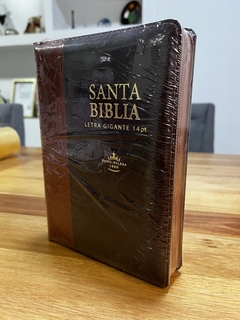 Santa Biblia letra gigante con cierre RV 1960