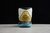 Nike Kyrie 6 EP Golden 'Mummy' - tienda online