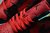 Air Jordan 1 Retro Low 'Gym Red' en internet