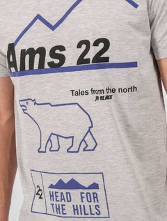 Remera AMS en internet