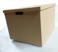 CAJA TAPA ZAPATO RECTANGULAR 40X30X25 CM ALT C-LASER - comprar online