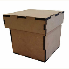 CAJA T/ZAPATO 15x15x20CM ALT. C-LASER