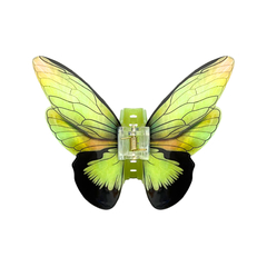 PIRANHA BORBOLETA VERDE - comprar online