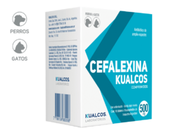 CEFALEXINA 500mg 10blister x 10comp (PT5302)