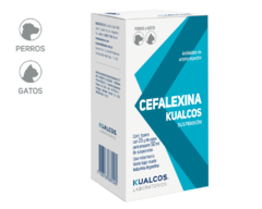 CEFALEXINA POLVO X25 GR (PT5301)