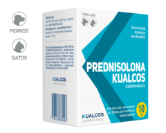 PREDNISOLONA 10 MG 10BLIST. X 10 COMP (PT5002)