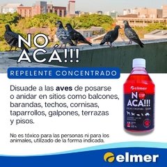 NO ACÁ!!! - comprar online