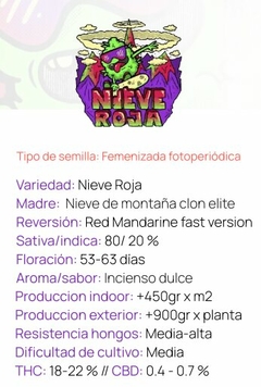 Sur Genetics - Nieve Roja - Fotoperiódicas-Feminizadas - comprar online