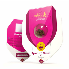 Royal Queen Seed - Special Kush 1 x3 Feminizadas