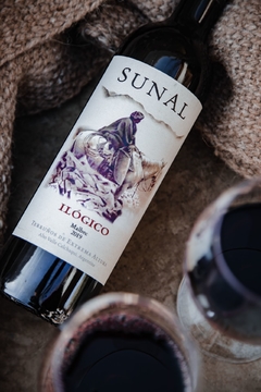 SUNAL Ilógico Malbec 2019 (6 x 750ml) - comprar online