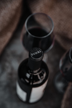 SUNAL Salvaje Pucará Malbec 2020 (6 x 750ml) - comprar online