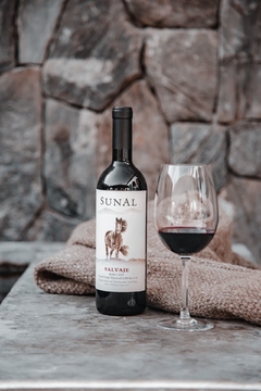 SUNAL Salvaje Pucará Malbec 2020 (6 x 750ml)