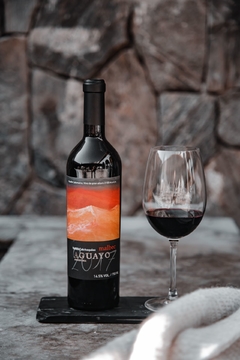 Aguayo Malbec 2017 (6 x 750ml)