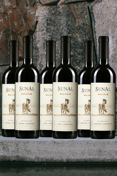 SUNAL SALVAJE MIX (6 x 750ml)