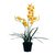 Orquídea Cymbidium - comprar online