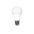 Lámpara LED 12V 7W. Blanco frío