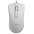 Mouse Philips M101 USB