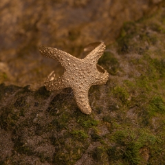 Pulsera estrella de mar