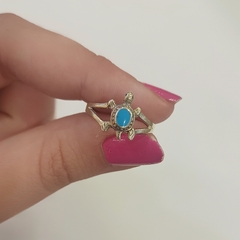 Anillo de Tortugas en internet