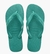 OJOTAS HAVAIANAS TOP - VERDE LEAF en internet