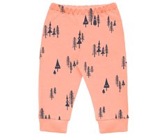 pantalón pino coral con frisa - comprar online