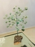 Árbol de jade verde con base piedra