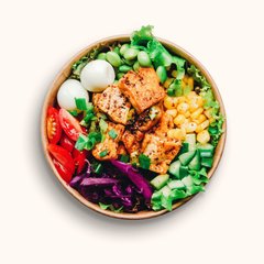Salada de frango multi-orgânica