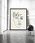 Cuadros para Living - INDIVIDUAL - Line Art - Rostro Ojo c/Flor