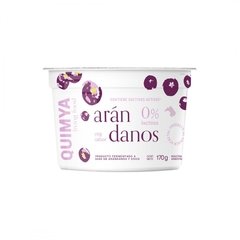 YOGUR ARANDANOS X 150 GRS