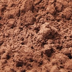 CACAO SOLUBLE EN POLVO X 1 KG - comprar online