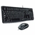 Kit mouse y teclado USB Logitech MK120