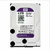 Disco rigido 3,5" 4TB WD PURPLE videovigilancia