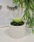Vasinho de Cerâmica Branco com Planta Artificial