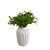 Vaso Decorativo Branco - Bela Flor - comprar online