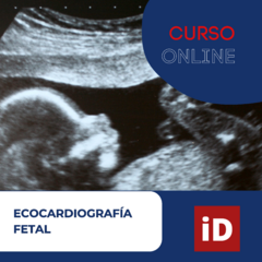 Ecocardiografia fetal con ImagingXpert