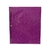 CARPETA TAPA N3 REXON GLITTER FILM A