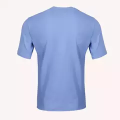 Remera Belgrano (Errea Viaje 23 HM celeste) - comprar online