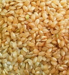 ARROZ YAMANI INTEGRAL 500 GR