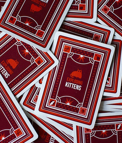 Exploding Kittens - Galápagos - Balloon Brinquedos Diferentes